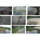 Nguồn nước bị ô nhiễm ảnh hưởng đến cuộc sống Nguồn nước bị ô nhiễm ảnh hưởng đến cuộc sống