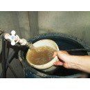 Mùi hôi từ nước sinh hoạt ảnh hưởng đến sức khỏe Mùi hôi từ nước sinh hoạt ảnh hưởng đến sức khỏe