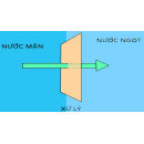 Làm gì khi nước sinh hoạt bị nhiễm mặn Làm gì khi nước sinh hoạt bị nhiễm mặn