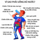 Cơ thể con người cần nguồn nước sạch để não có thể hoạt động tốt
