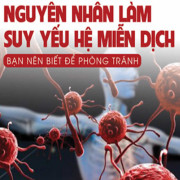 Hệ miễn dịch suy yếu nếu sử dụng nguồn nước ô nhiễm Hệ miễn dịch suy yếu nếu sử dụng nguồn nước ô nhiễm
