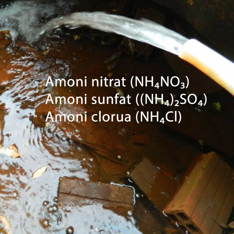Amoni trong nguồn nước sinh hoạt Amoni trong nguồn nước sinh hoạt