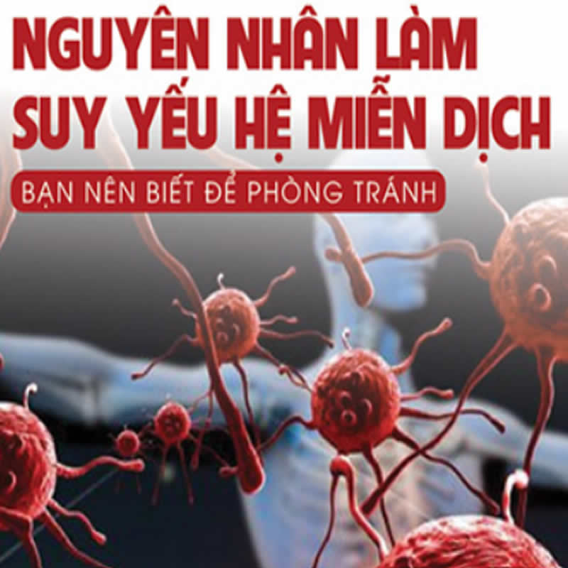 Nước ô nhiễm làm suy yếu hệ miễn dịch